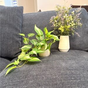 Threshold Faux Greenery and Lavender Planter Lot